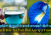 अपराजिता के फूलों से बनाये चमत्कारी नीली चाय | Magical Blue Tea from Blue Aparajita Flowers अपराजिता के फूलों से बनाये चमत्कारी नीली चाय | Magical Blue Tea from Blue Aparajita Flowers