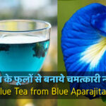 अपराजिता के फूलों से बनाये चमत्कारी नीली चाय | Magical Blue Tea from Blue Aparajita Flowers