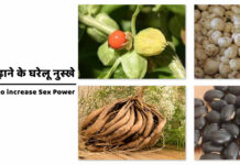 यौन क्षमता बढ़ाने के घरेलू नुस्खे | Home Remedies to increase Sex Power यौन क्षमता बढ़ाने के घरेलू नुस्खे | Home Remedies to increase Sex Power