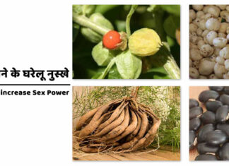 यौन क्षमता बढ़ाने के घरेलू नुस्खे | Home Remedies to increase Sex Power यौन क्षमता बढ़ाने के घरेलू नुस्खे | Home Remedies to increase Sex Power